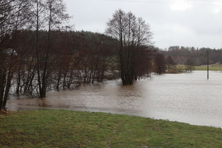 Rzeka Łeba w Miłoszewie jak jezioro - poziom wody przekroczył stan alarmowy!