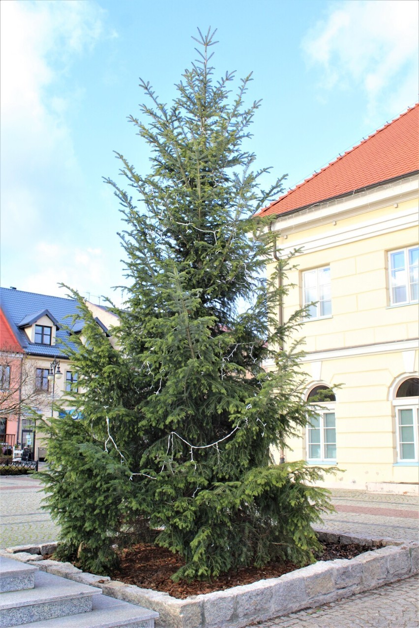 Iluminacje świetlne zobaczymy także w parku miejskim w...