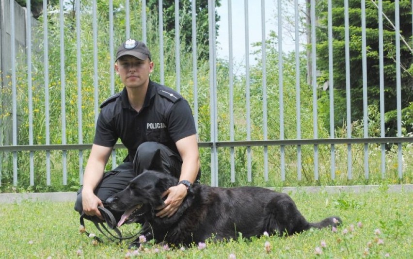 Policyjny pies Epan z Jarosławia, odszedł na emeryturę. Owczarek niemiecki przez 10 lat służył w Komendzie Powiatowej Policji [FOTO]