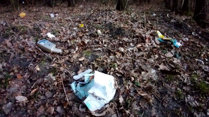 Śmieci w lesie w Wejherowie