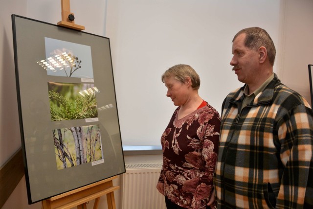 Wyniki konkursu "Przebudzenie Wiosny"