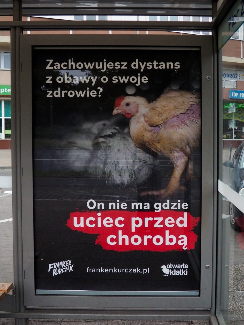 Na terenie całego Poznania pojawiły się billboardy i...