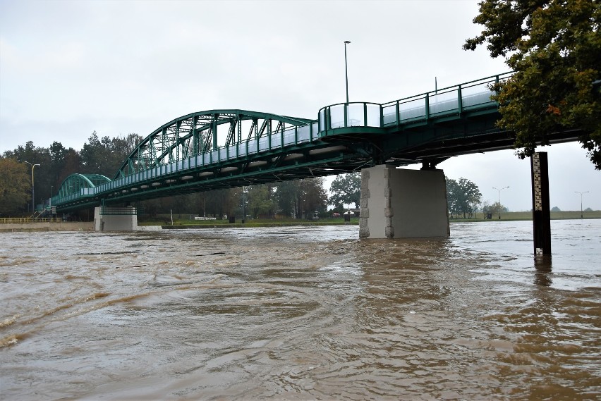 Poziom wody w Odrze w Opolu nadal wzrasta. Rzeka zalała...