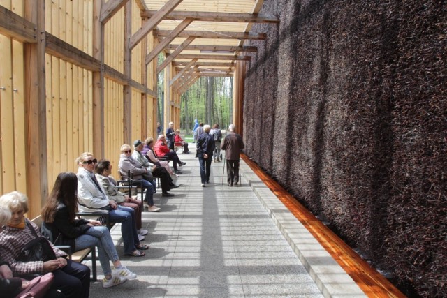 W ramach Budżetu Obywatelskiego w Katowicach wybudowano tężnię solankową w Parku Zadole