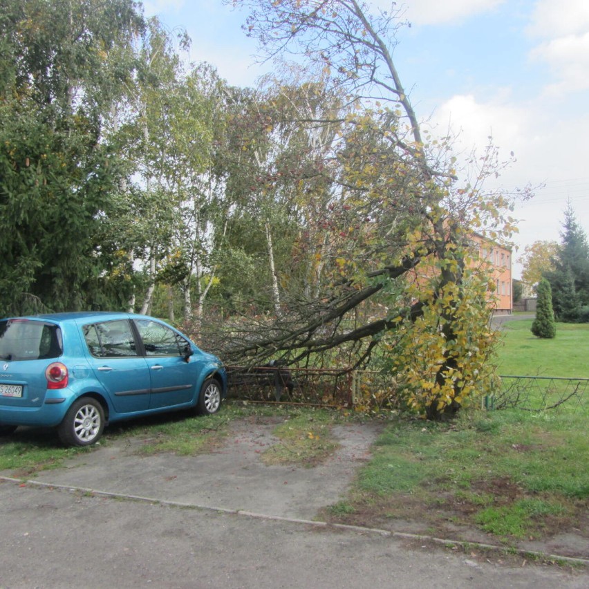 Wichura nad powiatem kościańskim. Strażackie interwencje