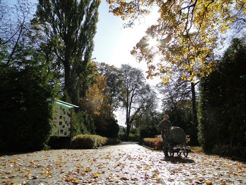 Poznań: Jesień w Starym Zoo [ZDJĘCIA]