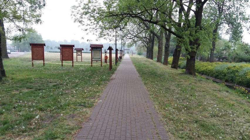 Zapraszamy na spacer traktem przy rzeczce Olszynce w Czempiniu. Zobaczcie zdjęcia