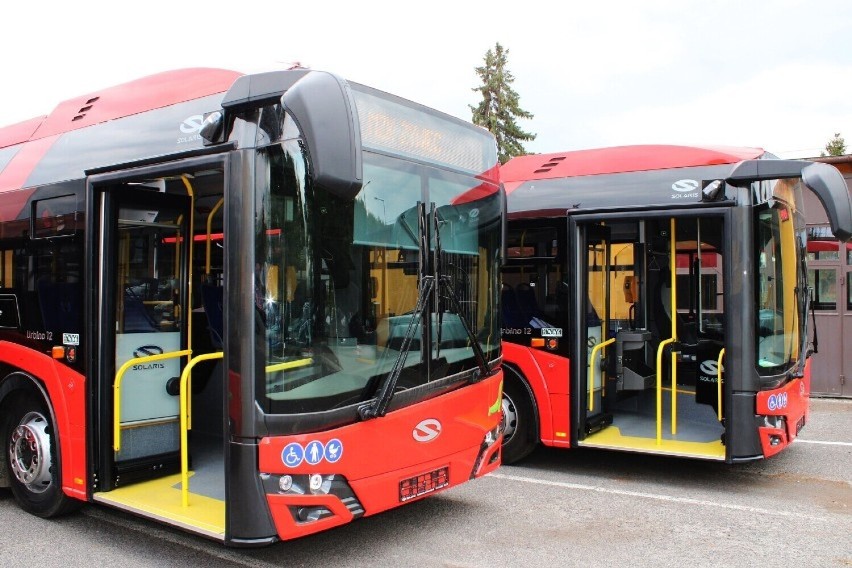 Świąteczny rozkład jazdy autobusów MZK w Żywcu