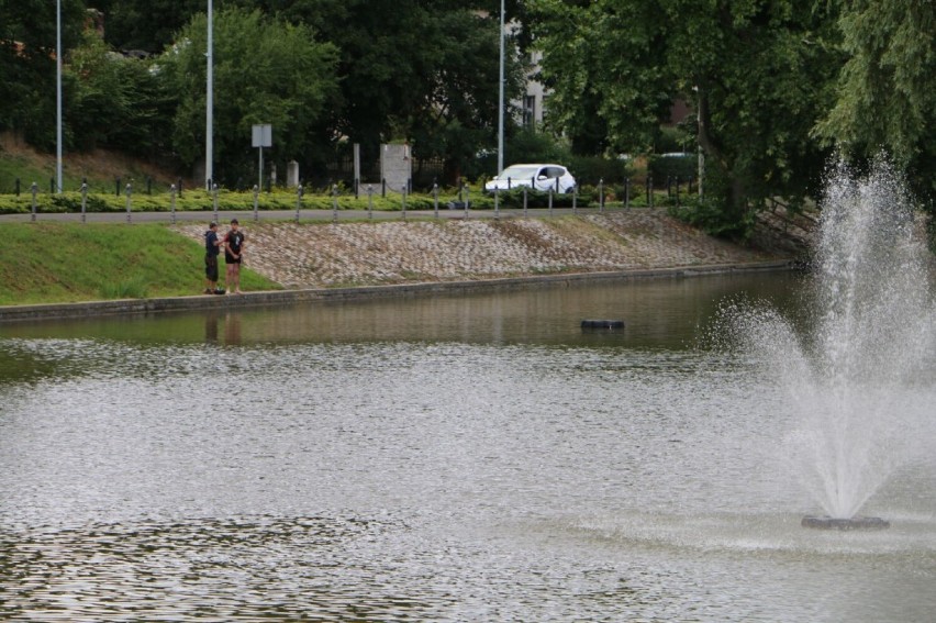 Zainstalowano kolejne fontanny w Kozim Stawie w Legnicy. Dzięki nim ma się poprawić jakość wody 