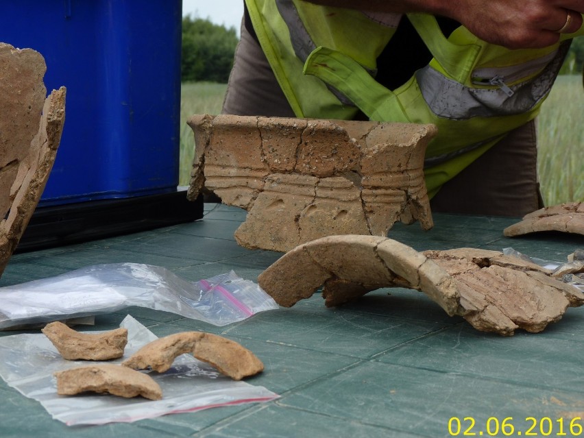 Fragmenty naczyń odkrytych w trakcie ratowniczych badan archeologicznych na stanowisku Pulki 1 - kultura trzciniecka (1900-1000 lat p.n.e.) 2.