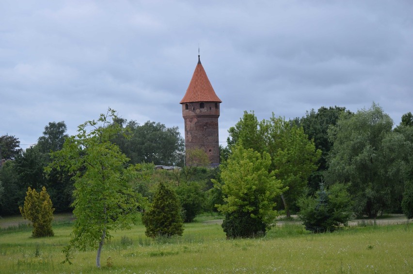 Malbork. Przetarg na bulwary i duży plac zabaw ogłoszony. Sprawdź, jak ma się zmienić teren przy ulicy Parkowej