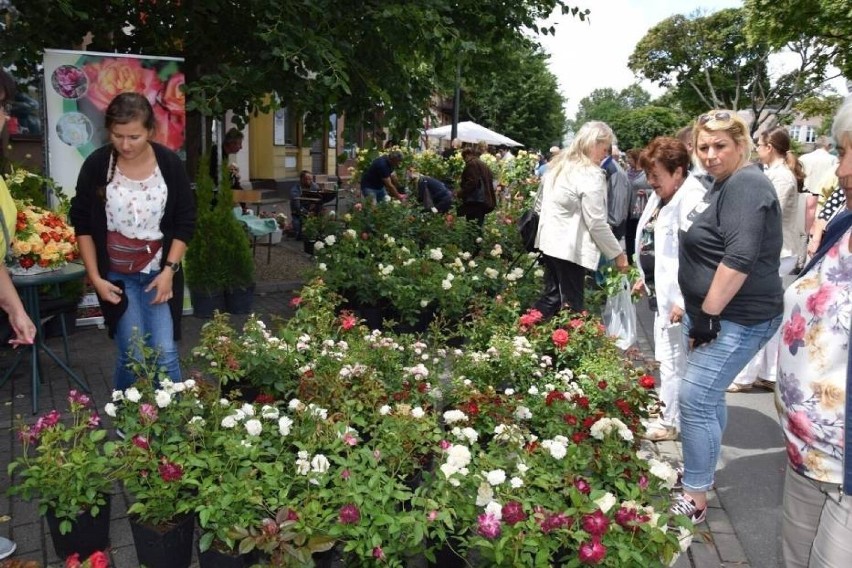 Kiermasz Różany w Łasku zamiast Festiwalu Róż