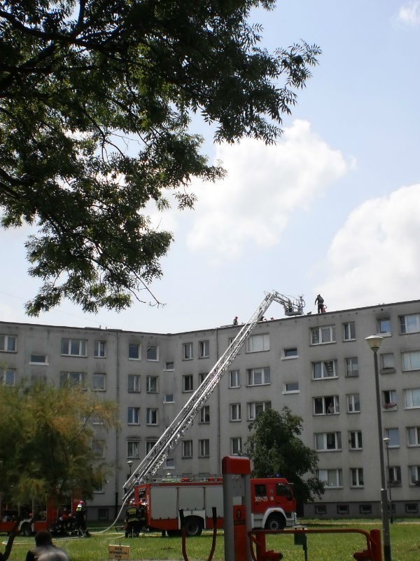 Pożar na Winiarach. Na miejscu 4 wozy straży pożarnej