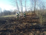 Powiat radomszczański: Strażacy gasili kolejne pożary suchych traw [ZDJĘCIA]