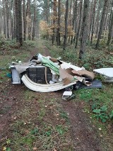 Śmieci w lesie. Ktoś zostawił odpady między Kozłowem a Strzyżewem Paczkowym