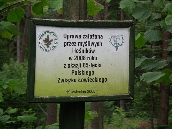 Międzynarodowy Rok Lasów w Nadleśnictwie w Gorlicach [ZDJĘCIA]