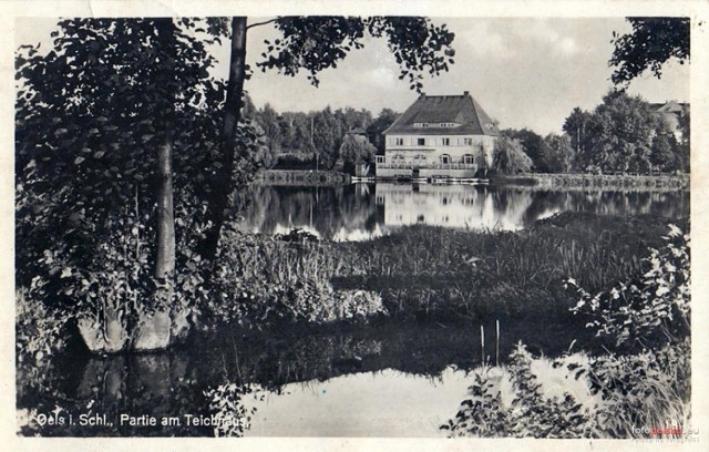 Park nad Stawami w Oleśnicy