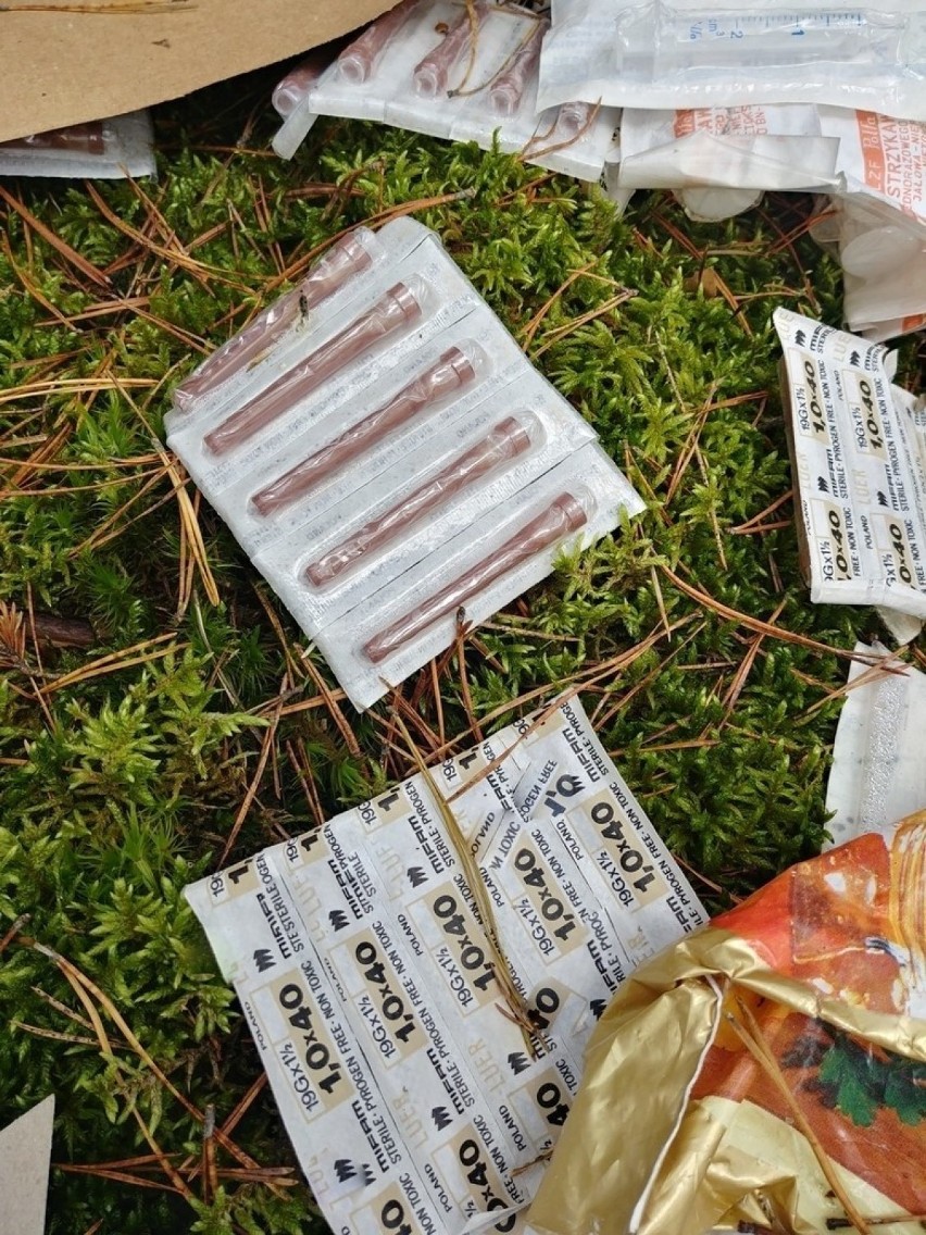 Odpady medyczne w jednym z zielonogórskich lasów.