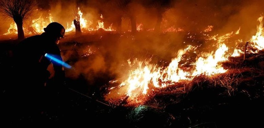 Tak wyglądał pożar traw na Winnej Górze w 2019 roku.