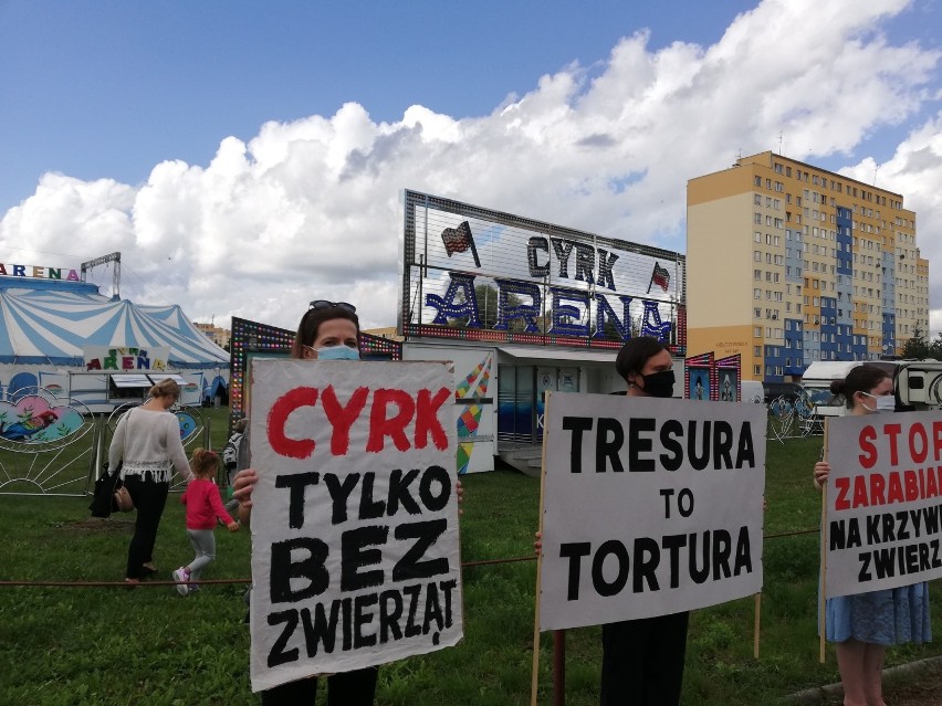 Protest przed cyrkiem Arena we Wrocławiu