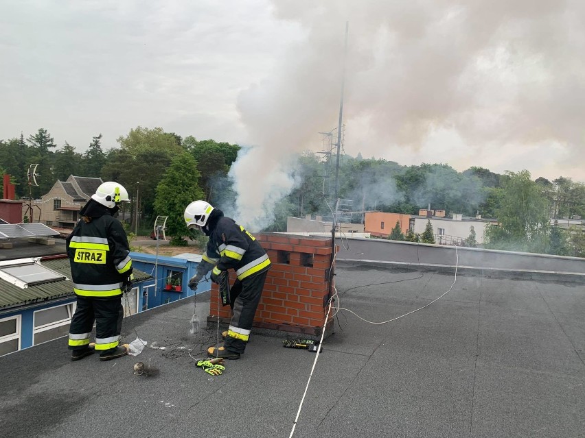 Pożar w Szamocinie: W jednym z domów zapalił się komin. Było dużo dymu [ZDJĘCIA]