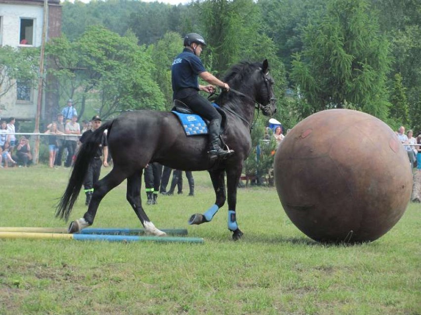 XIV Turniej Policji Konnej Częstochowa 2014