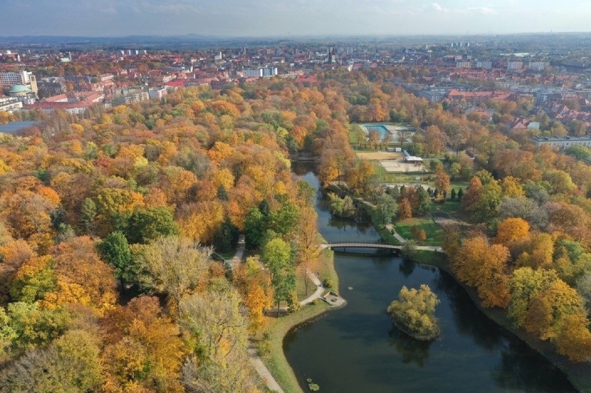 Bytom został wyróżniony w konkursie "Miasto z klimatem" w...