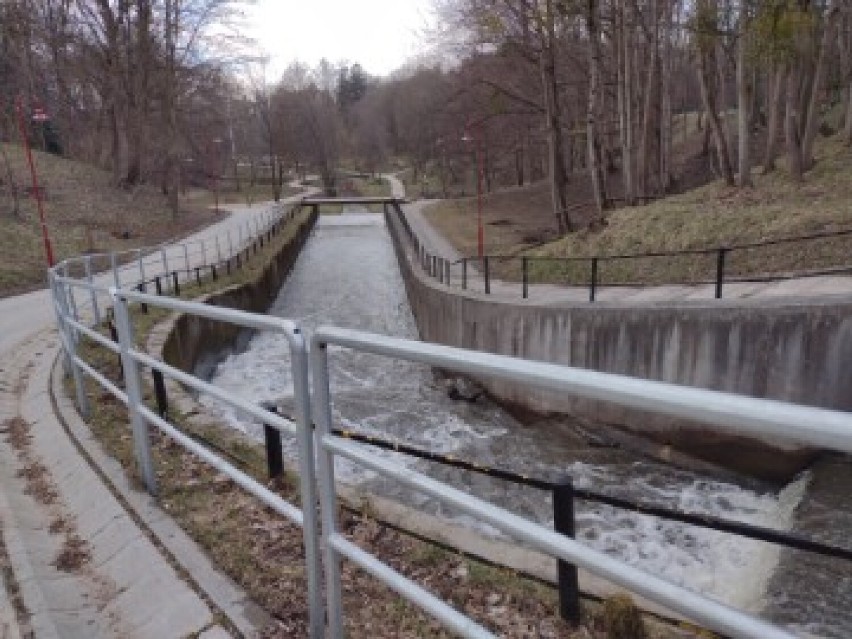 Elbląska Dolinka - piękny park, ale wymaga posprzątania! ZDJĘCIA