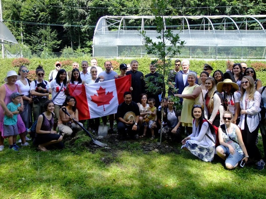 ŚDM 2016. Młodzi Kanadyjczycy zasadzili "Dąb Franciszka" w Alei Prezydenckiej [FOTO]