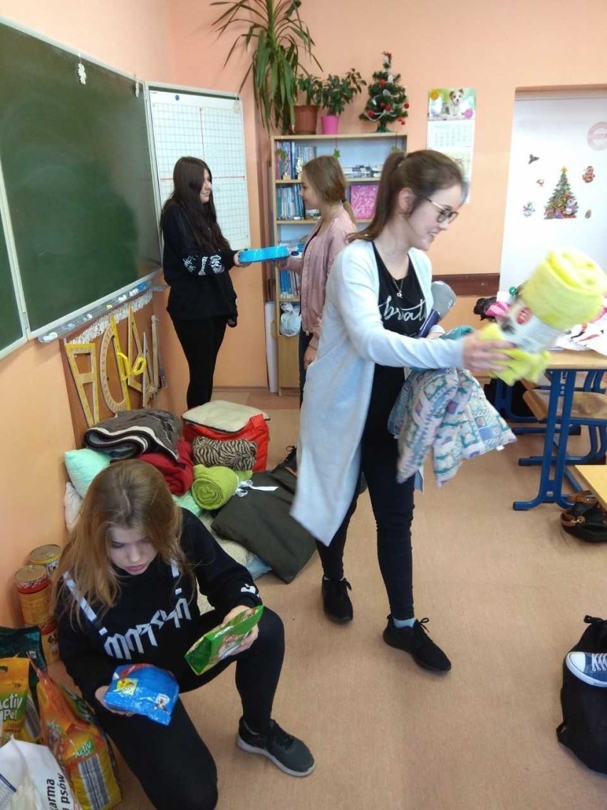 Młodzież z II LO w Malborku pomogła czworonożnym podopiecznym stowarzyszenia Reks
