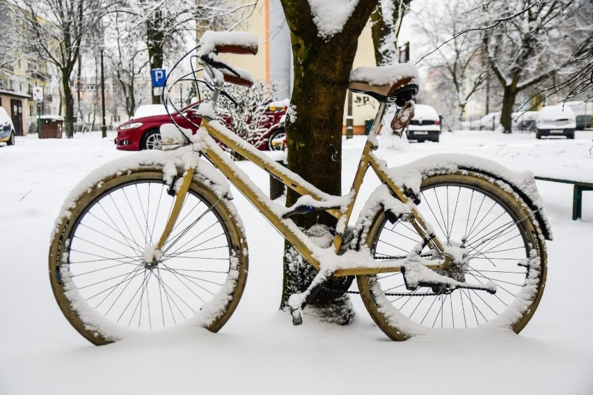 Do Świąt Bożego Narodzenia pozostał niecały tydzień....