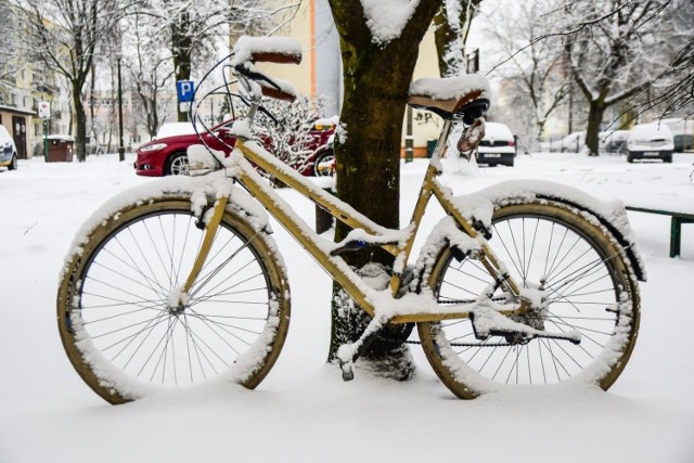 Do Świąt Bożego Narodzenia pozostał niecały tydzień. Sprawdzamy, jaka może być pogoda w dniach 24, 25 i 26 grudnia oraz tuż przed świętami. 

Co na ten temat mówią modele pogodowe oraz prognoza przygotowana przez Instytut Meteorologii i Gospodarki Wodnej? ▶▶