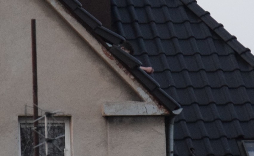 Mężczyzna siedział na dachu i rzucał dachówkami w strażaków. Akcja na Reja w Kędzierzynie-Koźlu