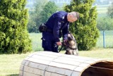 Psy służące w opolskiej policji. Wszystkie są wiernymi przyjaciółmi oraz niezawodnymi partnerami i funkcjonariuszami 