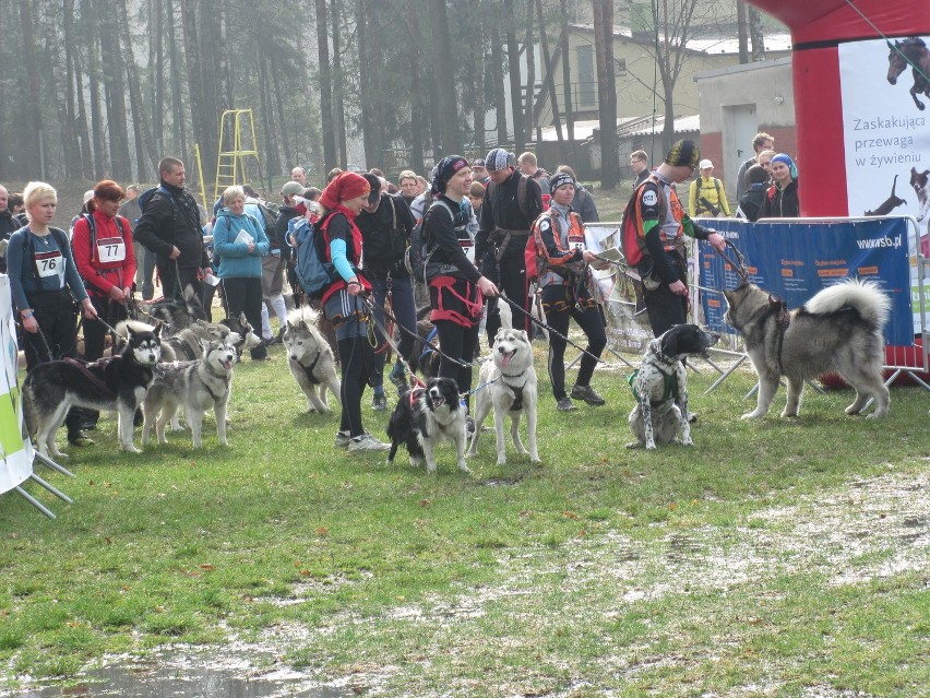 Koszęcin : Ponad 150 osób wystartowało w Dogtrekkingu