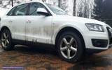 Zatrzymali Francuza w kradzionym Audi Q5