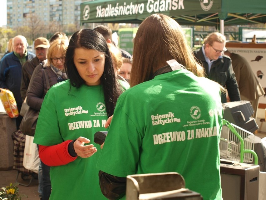 Drzewko za makulaturę w Trójmieście