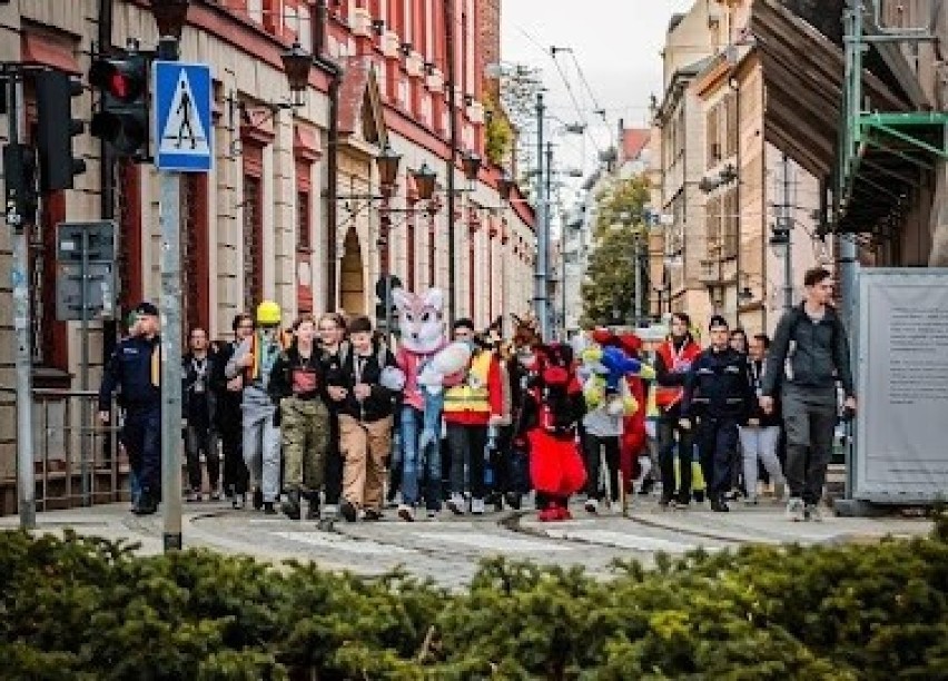 Pochód fandomu futrzaków we Wrocławiu.