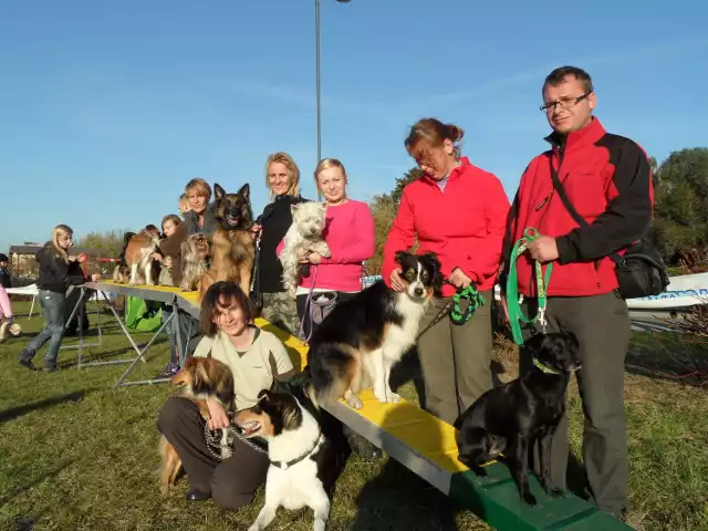 Piknik Pod Psem Żory 2015: Impreza z pieskami w Cegielni już 14 czerwca!