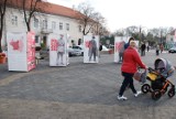  Ojcowie Niepodległości na wystawie plenerowej w centrum Wielunia [FOTO]