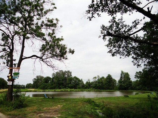 Rudnik nad Sanem - staw my dworze