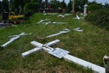 Wandale na cmentarzu w Kiekrzu! Zdewastowane groby, powyrywane krzyże [ZDJĘCIA]