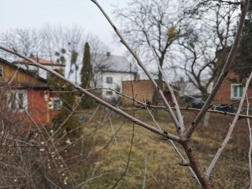 Nie żyje 39-letnia kobieta. 14-latek prawdopodobnie zabił macochę. Znajduje się pod nadzorem policji