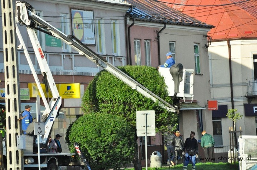 O rośliny dbają pracownicy Przedsiębiorstwa Gospodarki...