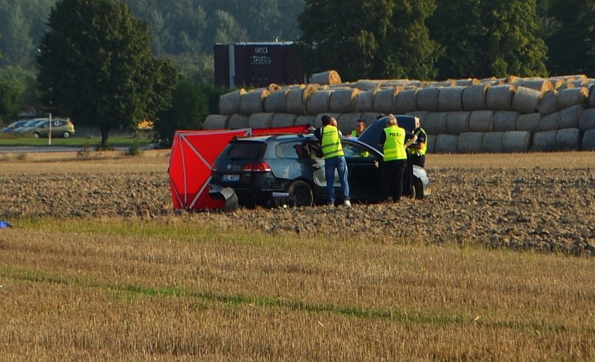 Śmiertelne zderzenie auta z sarną. Zginął były zawodnik piłkarzy ręcznych AKTUALIZACJA 