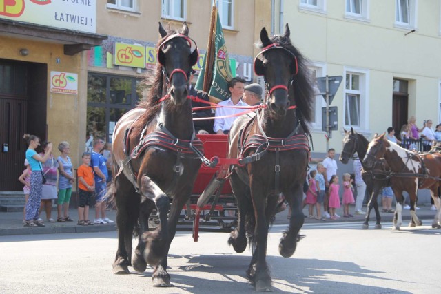 190 lat Stada Ogierów w Sierakowie oraz 20 lat Tarpaniady (25.08.2019).