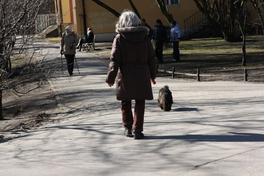 Zakaz wprowadzania psów do Parku Oliwskiego bez efektów. Kiedy będą specjalne wybiegi dla psów?