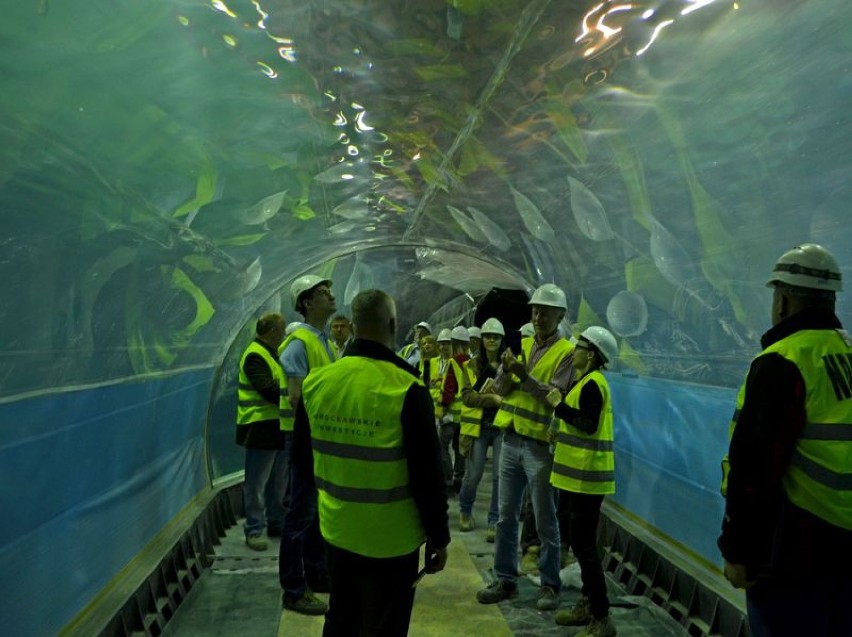 Oceanarium we Wrocławiu - największy basen przeszedł już...