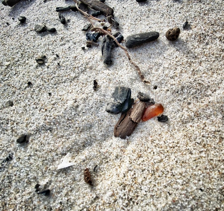 Foto Powiat Pucki: marcowy poniedziałek na plaży w Helu (2.03.2020)