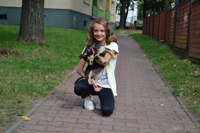 12-latka z Częstochowy chce wyprowadzać psy i oddać pieniądze na schronisko